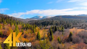 Spring_Beauty_of_the_Carpathian_Mountains_from_the_Height_of_Bird's
