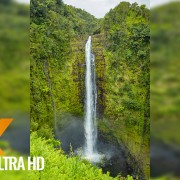 THE BEAUTY OF NATURE FOR VERTICAL DISPLAYS PREVIEW for RELAX