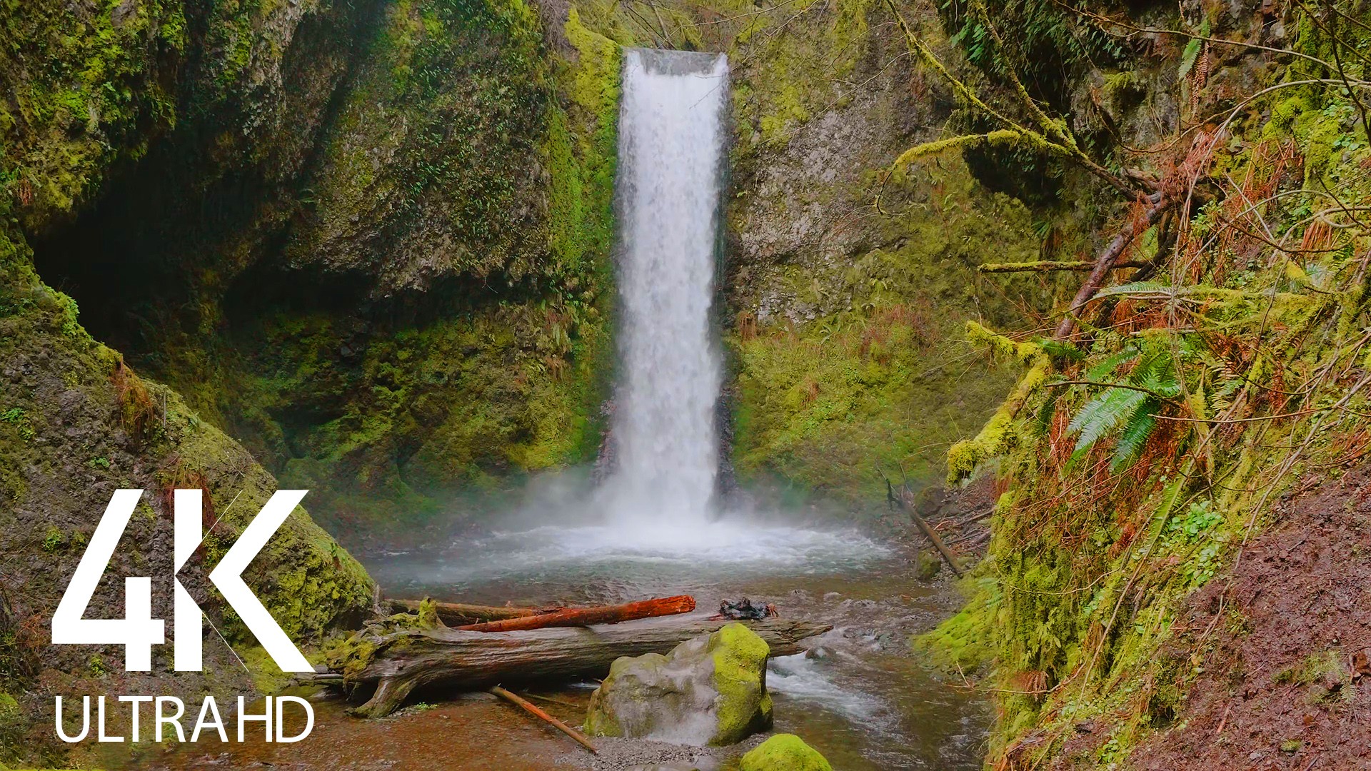Wiesendanger Falls Oregon Waterfalls