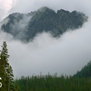FOG IN MOUNTAINS