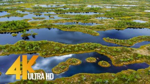 Lithuania from Air Nature Relax Video