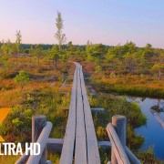 The beauty of Latvian Nature Walking Tour