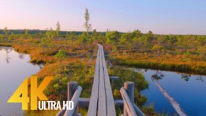 The beauty of Latvian Nature Walking Tour