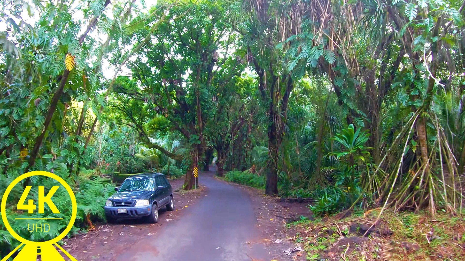 hawaii-roads