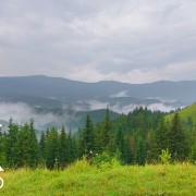 Rainy Mystery of the Carpathian Mountains