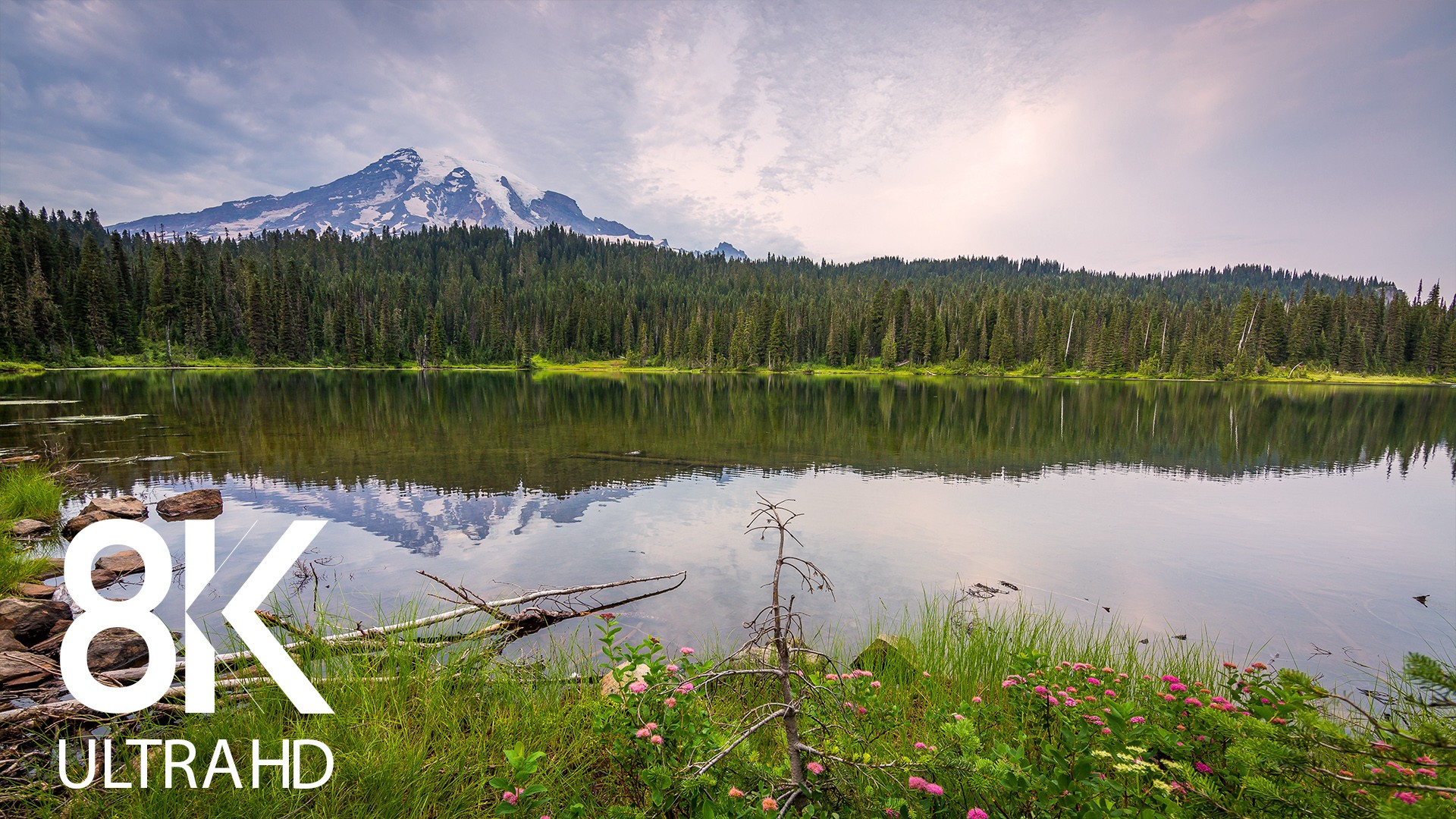 Summer_Allure_of_Reflection_Lake,_Mount_Rainier_Area_Nature_Relax (2)
