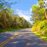 Hawaii Roads front 6