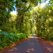 Hawaii Roads front 8 Scenic drive