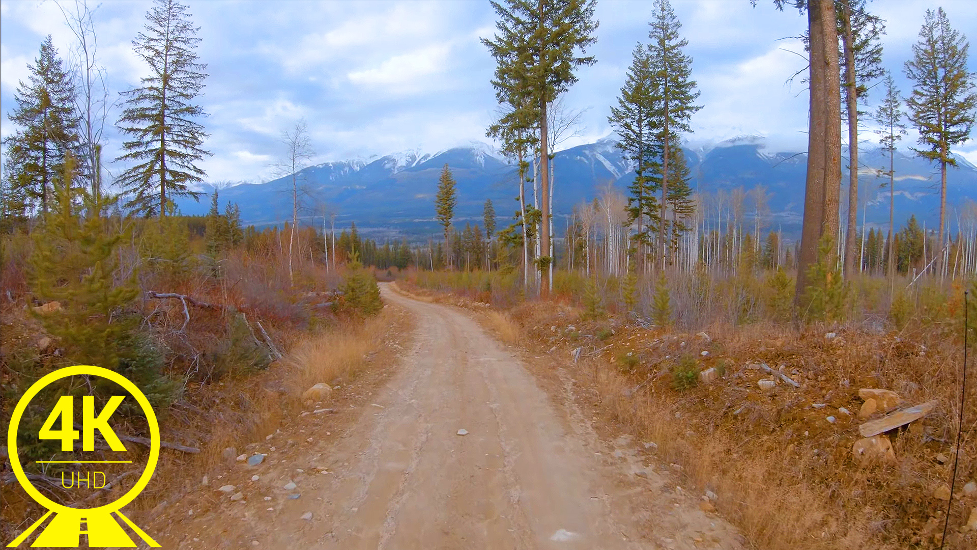 Driving through Jasper National Park, Canada 4K Scenic Drive Video