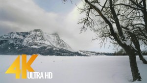 Scenic_Nature_Trails_of_Canada_Wintertime_Hiking_Nature_Relax_Video