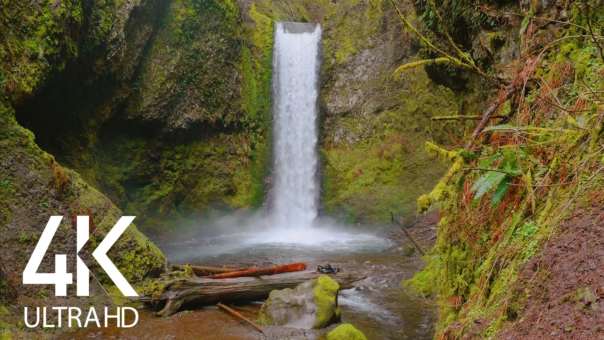 Amazing Power of Water Oregon Waterfalls Nature Relax
