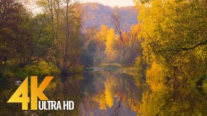 Autumn gold and silver South ural Russia Short Preview