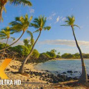 Incredible_Diversity_of_the_Big_Island,_Hawaii_Part_1_Nature_Relax