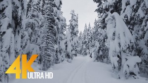 Scenic Nature Trails of Canada Wintertime Part 2