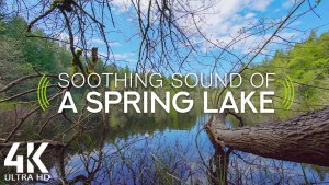 4k SOOTHING SOUND OF A SPRING LAKE 8 HOUR YOUTUBE