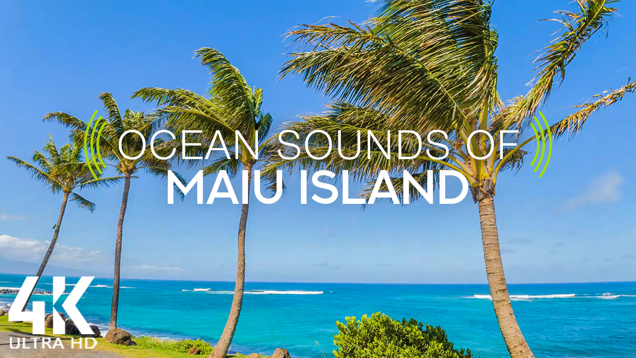 4k_Tropical_Palms_Maui_island,_Hawaii_Nature_Relax_Video_8_HOURS