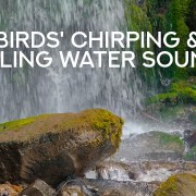 The_Gentle_Music_of_Falling_Water_Oregon_Waterfalls_Nature_Relax