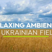 HD_Ukrainian_wheat_fields_near_Chernigov_Nature_Relax_Video_8_HOURS