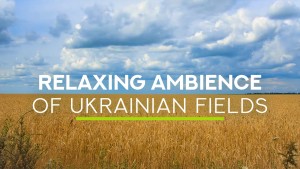 HD_Ukrainian_wheat_fields_near_Chernigov_Nature_Relax_Video_8_HOURS