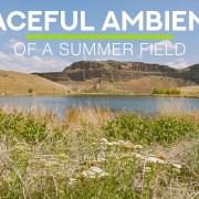 4K_Ancient_Lakes_Eastern_Washington_State_NATURE_RELAX_VIDEO_8_Hours