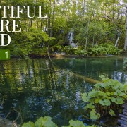 4K_BEAUTIFUL_NATURE_SOUND_EPISODE_1_NATURE_RELAX_VIDEO_8_HOUR_YOUTUBE