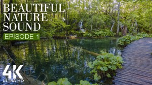4K_BEAUTIFUL_NATURE_SOUND_EPISODE_1_NATURE_RELAX_VIDEO_8_HOUR_YOUTUBE