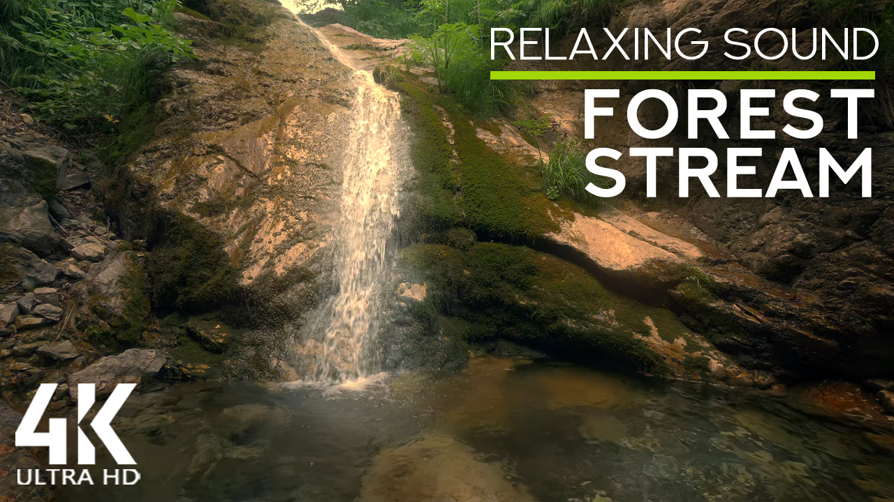 4k Forest Stream Nature Relax Video 8 Hours YOUTUBE
