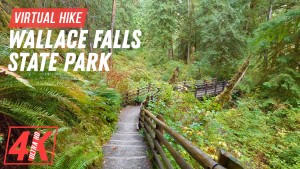 4k_Hiking_through_wallace_falls_state_park_Washington_State,_USA