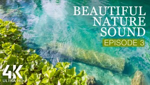 4K_BEAUTIFUL_NATURE_SOUND_EPISODE_3_NATURE_RELAX_VIDEO_8_HOURS_YOUTUBE