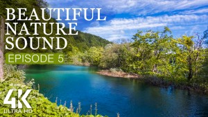 4k_Beautiful_Nature_Sound_Episode_5_NATURE_RELAX_VIDEO_8_HOURS_YOUTUBE