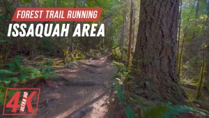 4k_Forest_Trail_Running,_Issaquah_Area,_WA_Outdoor_Exercise_Video