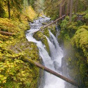 8k_Autumn_Charm_of_Sol_Duc_Falls,_Olympic_National_Park,_WA_Nature