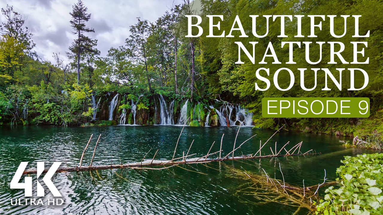 4K_Beautiful_Nature_Sound_Episode_9_NATURE_RELAX_VIDEO_8_hours_YOUTUBE