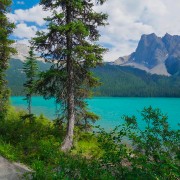 4K_Walking_Near_the_lake_Emerald_lake,_yoho_national_park,_canada