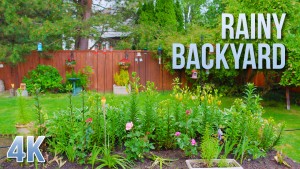 4k RAINY BACKYARD Nature Relax Video 8 HOURS YOUTUBE