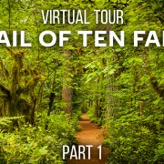 Trail_of_Ten_Falls_SILVER_FALLS_STATE_PARK_Part_1_360°_VR_Video
