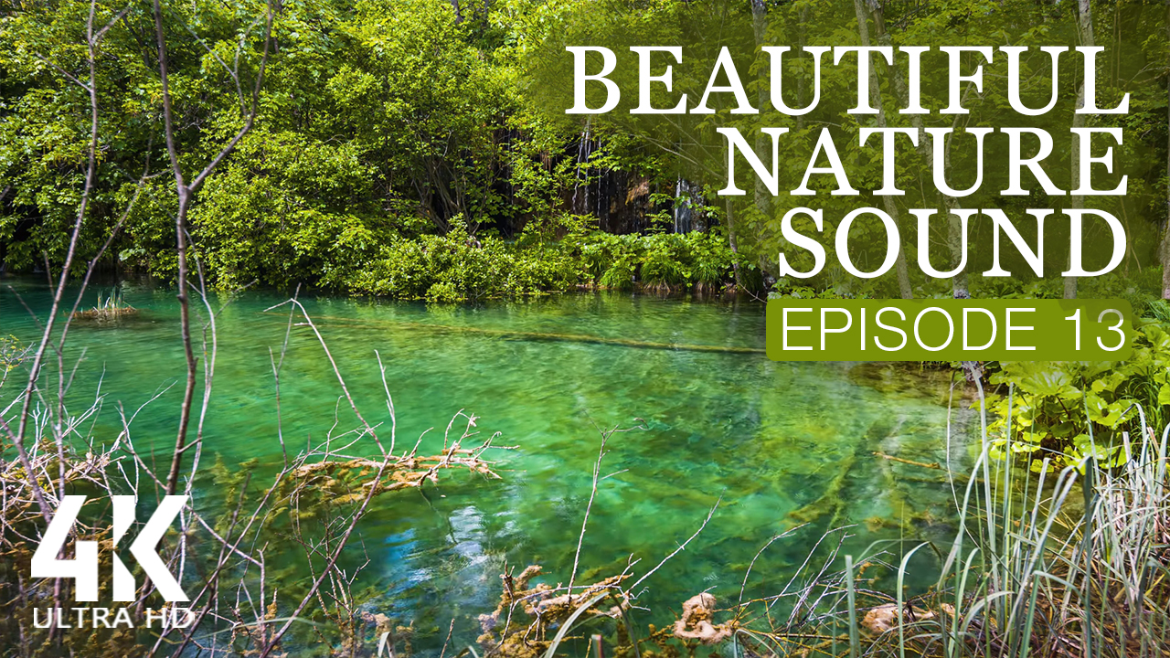 4K_Beautiful_Nature_Sound_Episode_13_NATURE_RELAX_VIDEO_8_hours