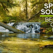 4K_Spring_sounds_of_Benson_Creek_Falls_Nanaimo,_BC,_Canada_NATURE
