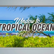 4K_Tropical_Ocean_View_Hawaii_Episod_#3_NATURE_RELAX_VIDEO_8_housr