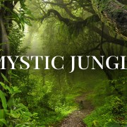 4k MYSTIC JUNGLE FOREST Nature Relax Video 12 Hours YOUTUBE