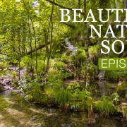 4k_Beautiful_Nature_Sound_Episode_11_NATURE_RELAX_VIDEO_8_hours