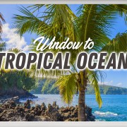 4k_Tropical_Ocean_View_HAAII_Episod_#2_NATURE_RELAX_VIDEO_8_hours
