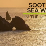 8_Hours_Soothing_Sea_Waves_Sounds_for_Best_Relaxation_and_Deep_Sleep