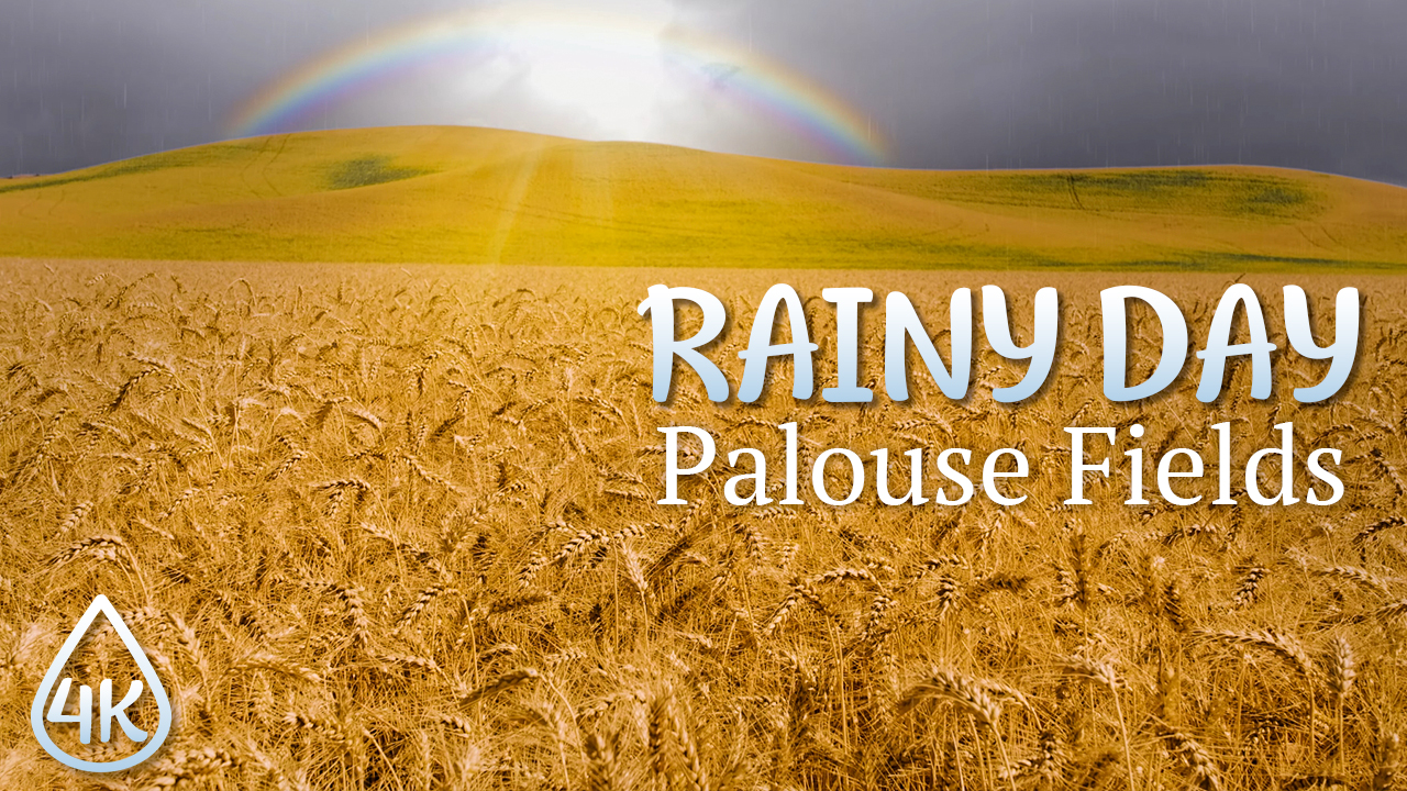 4K_Palouse_Wheat_Fields_on_a_Rainy_Day_Part_Epizode_#2_Nature_Relax