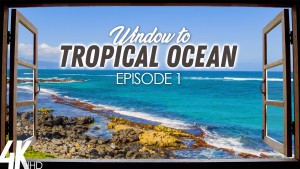 4K_Tropical_Ocean_View_Episod_#1_NATURE_RELAX_VIDEO_8_hours_YOUTUBE