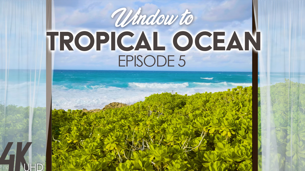 4K_Tropical_Ocean_View_HAWAII_Episod_#5_Nature_Relax_Vieo_8_hours