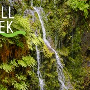 4k SMALL CREEK Nature Relax Video 8 HOURSYOUTUBE