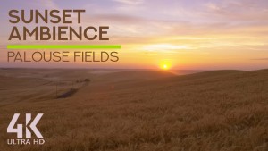 4k_BEAUTIFUL_SUNSET_AT_PALOUSE_FIELDS_Nature_Relax_Video_8_HOURS