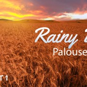 4K_Palouse_Wheat_Fields_on_a_Rainy_Day,_Epizode_#1_NATURE_RELAX