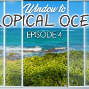 4K_Tropical_Ocean_View_Hawaii_Episod_#4_NATURE_RELAX_VIDEO_8_hours